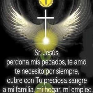 Meet your Posher, Dolores